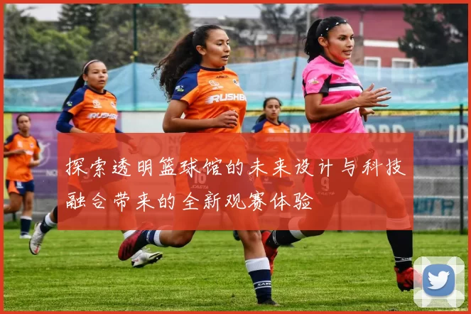 探索透明篮球馆的未来设计与科技融合带来的全新观赛体验