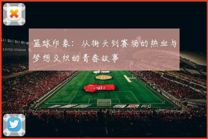 篮球印象：从街头到赛场的热血与梦想交织的青春故事