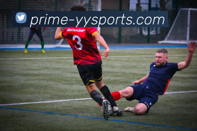 易游体育平台生态图