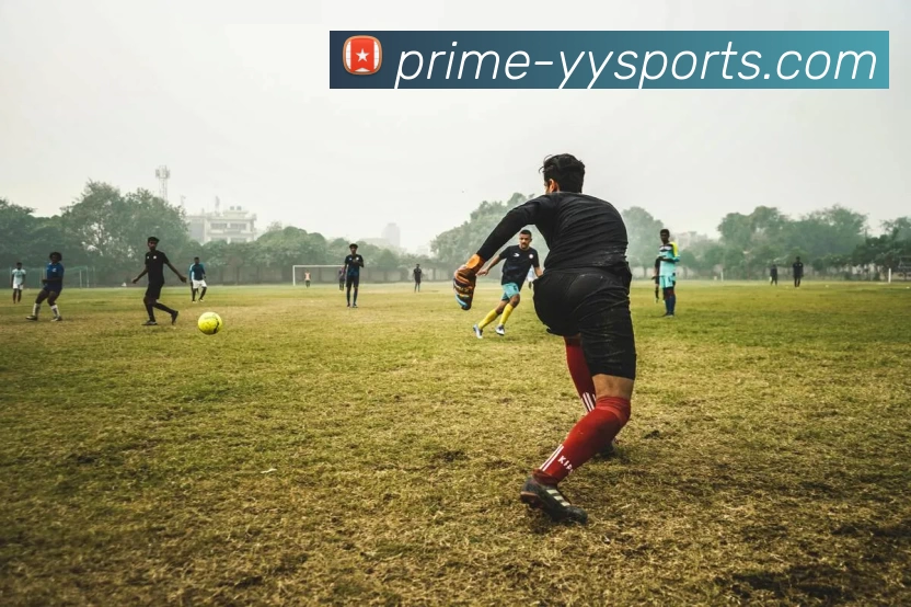 易游体育APP 封面图